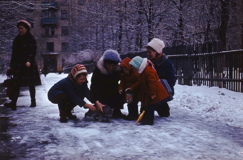 Фотография метро академическая