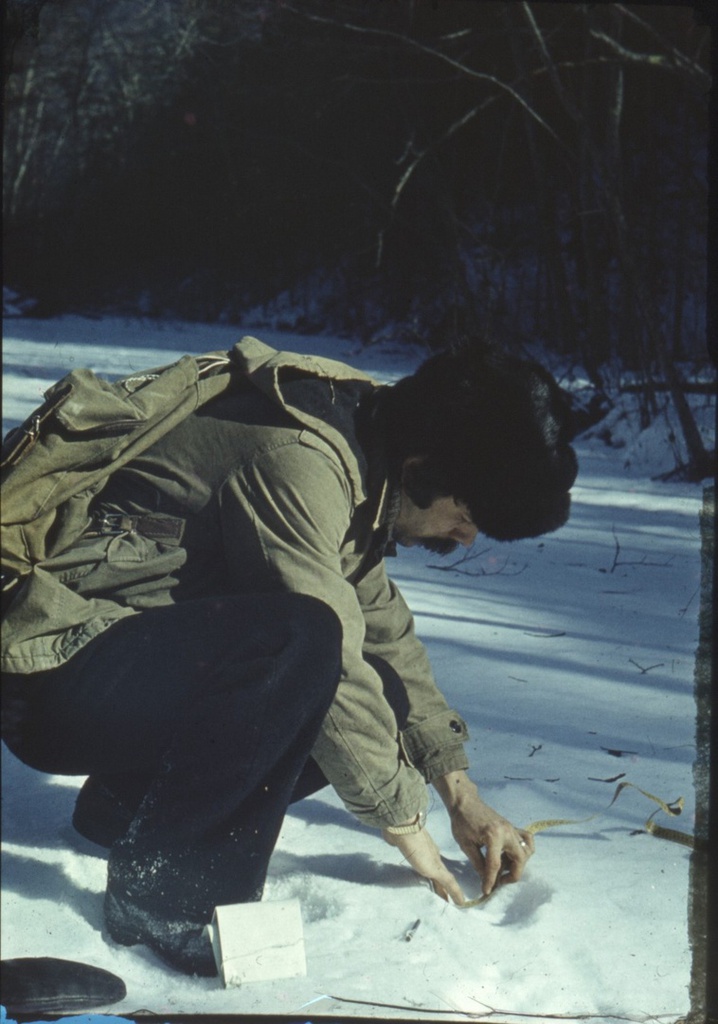 М. Н. Громыко, научный сотрудник. Учет по белой тропе, 1970-е, Приморский край. Выставка «Сихотэ-Алинскому заповеднику – 85 лет» с этой фотографией.