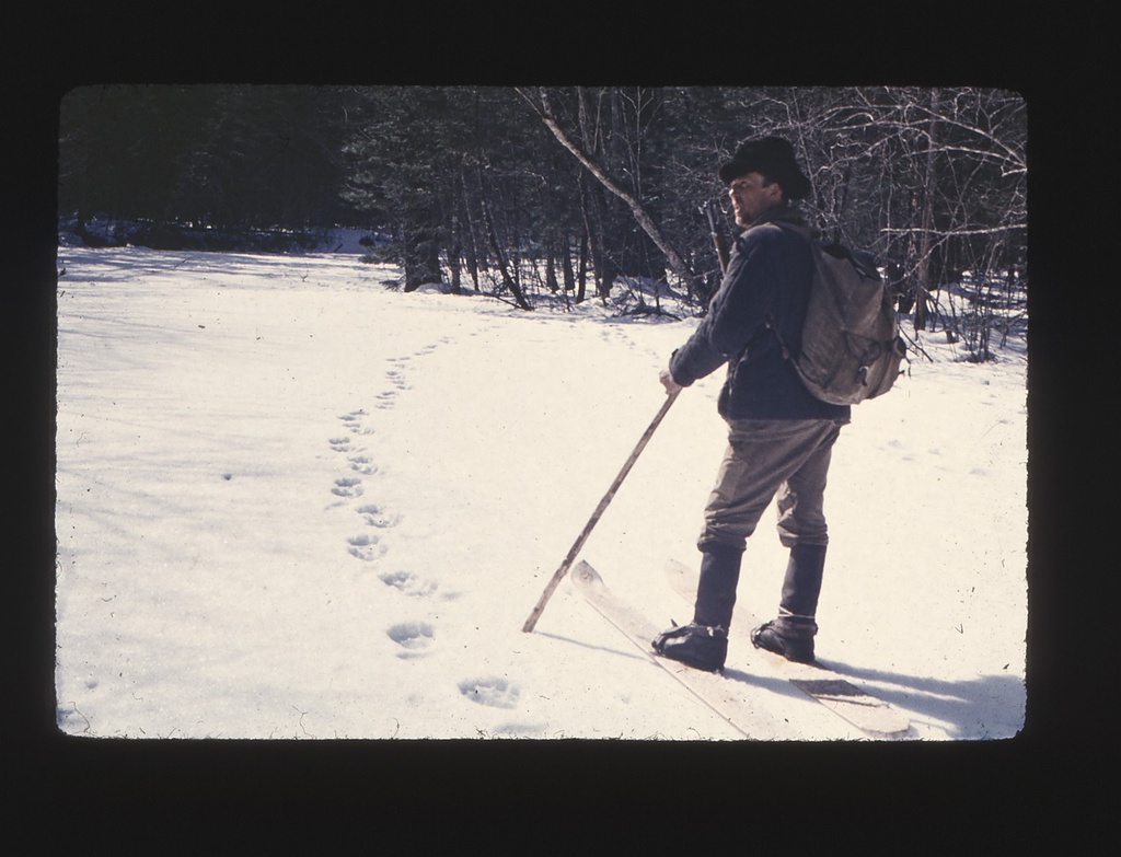 Юра Бушков на учете по белой тропе. Следы амурского тигра, 1970 - 1980, Приморский край. Выставка «Двойной портрет: человек и природа» с этой фотографией.&nbsp;