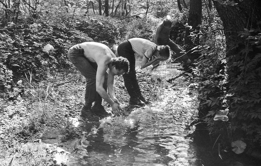 Утренний моцион, 15 - 31 мая 1986, Калужская обл., Малоярославецкий р-н