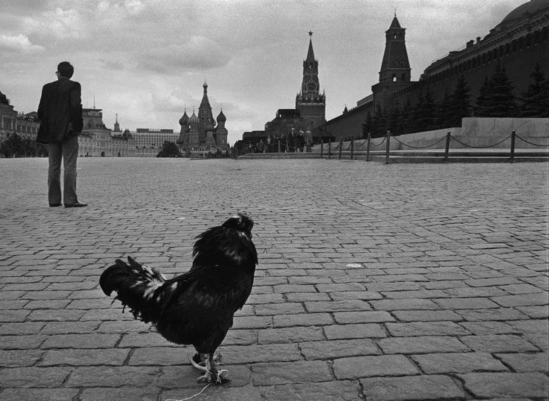 Красная площадь, 1990-е, г. Москва. Выставка «"Пока все дома". Стрит-фотографии Владимира Богданова» с этим снимком.