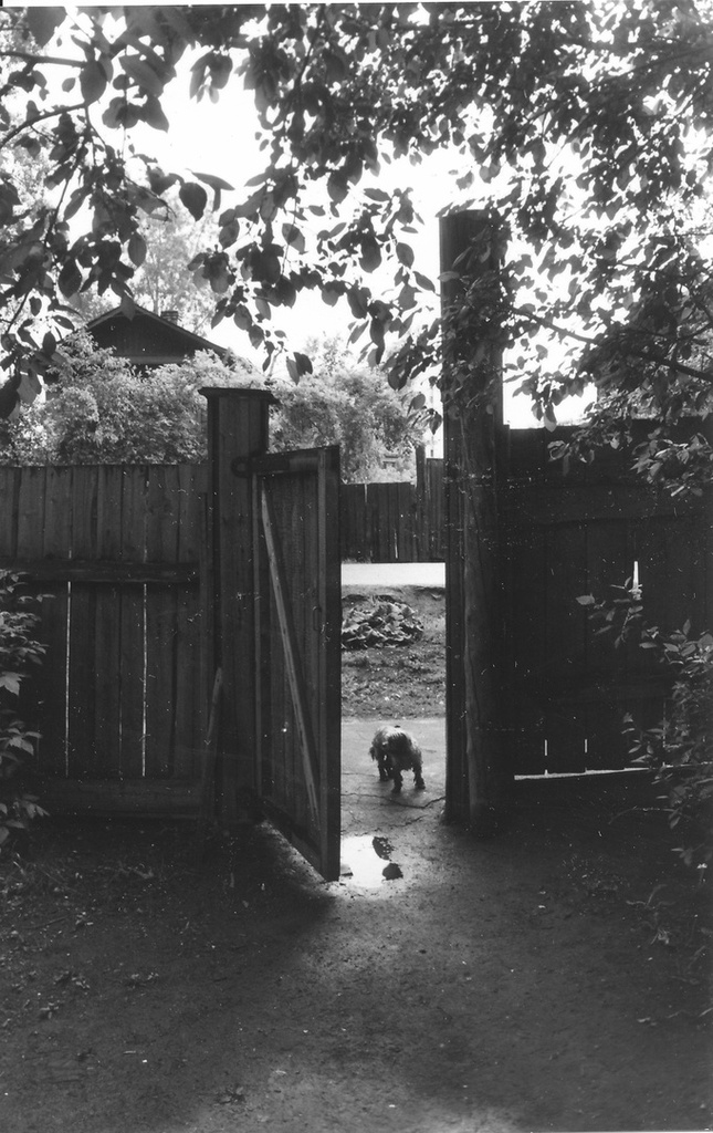 Улица Сакко, 1985 - 1986, г. Тюмень