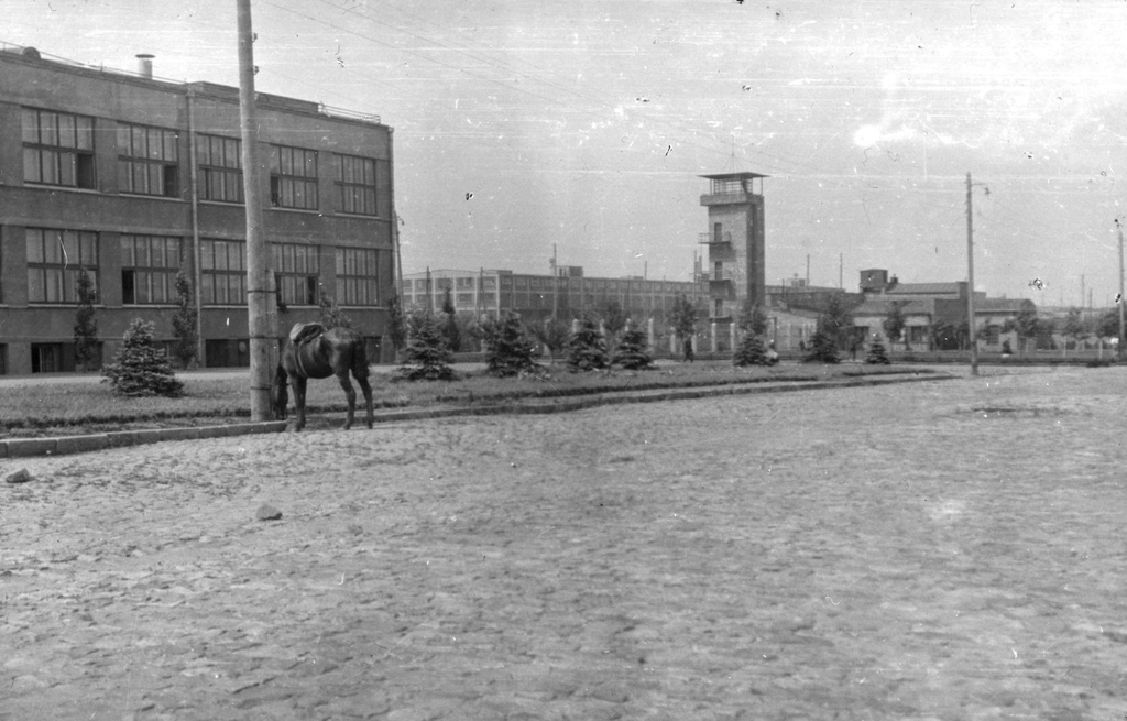 Улица, 16 апреля 1956 - 14 мая 1956. Фотография сделана британской делегацией, побывавшей в СССР в 1956 году.Выставка «Английские энергетики в Советском Союзе» с этим снимком.