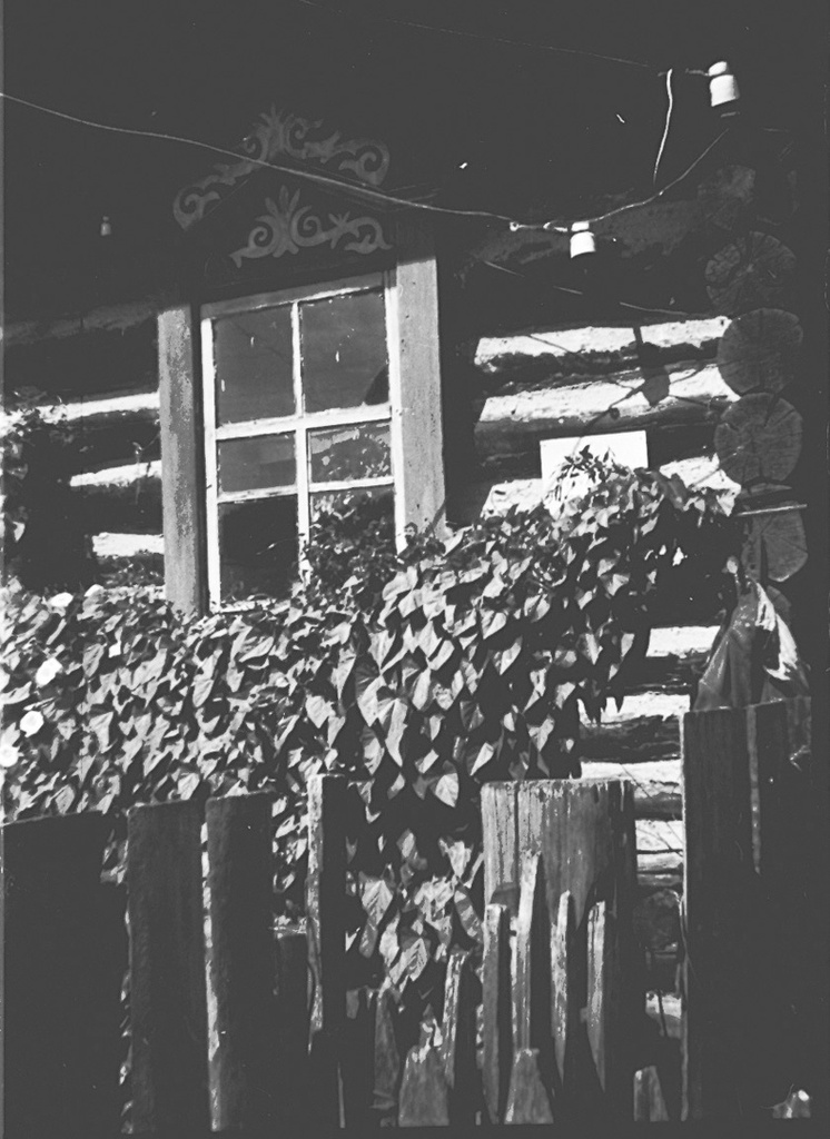 Наличник с растительным орнаментом, 1989 год, Кемеровская обл., дер. Зырянка. Выставка «Красота деревянного зодчества в деталях» с этой фотографией.