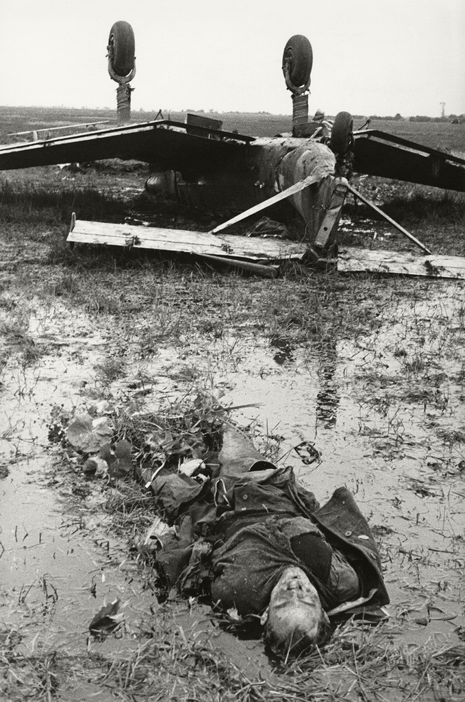 Сбитый немецкий самолет. Центральный фронт, июнь - август 1941. Выставки «Железные птицы» и&nbsp;«Начало Великой Отечественной войны» с этой фотографией.