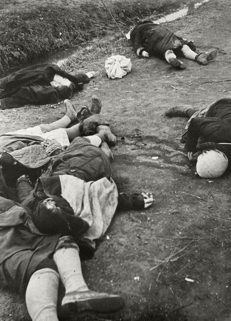 Убитые беженцы, 1941 год, Ленинградская обл.. Выставка «Начало Великой Отечественной войны» с этой фотографией.