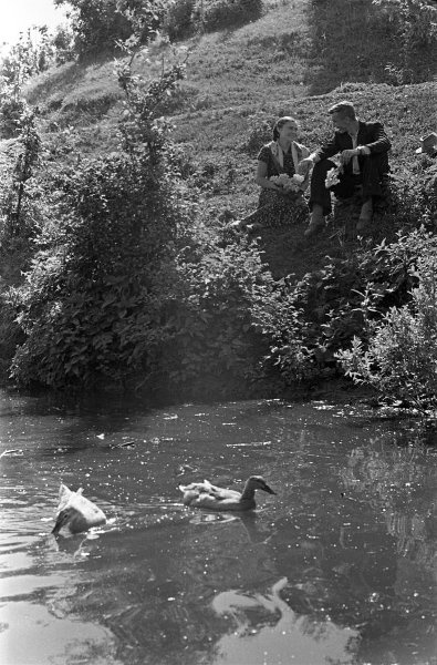 «Парни нашего села», 1957 год, Воронежская обл., с. Коршево