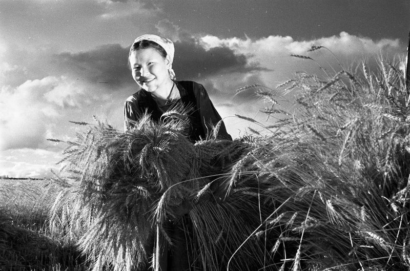 Колхозница, 1957 - 1967, Якутская АССР. Выставка «Саха» с этой фотографией.&nbsp;
