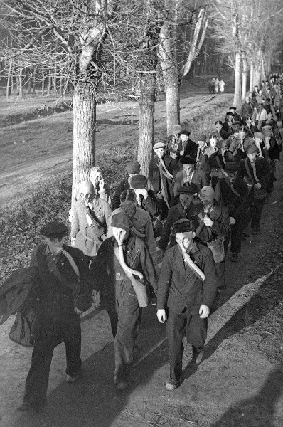 Оборона архив. Парк культуры 1967. Парк в Пикалево в советские времена. Фото событий 1952 года. Слим Ааронс снимки 1941-45 годов.