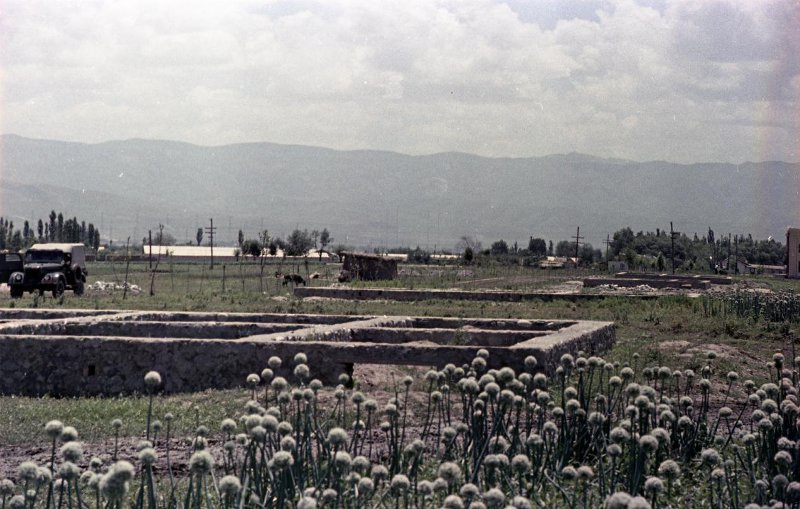 Сельский пейзаж, 1958 год, Таджикская ССР