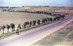 Дорога вдоль поля, 1958 год, Таджикская ССР
