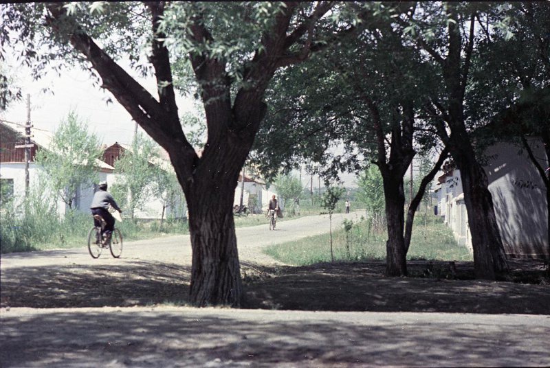В селе, 1958 год, Таджикская ССР