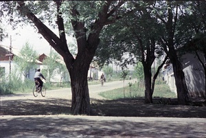 В селе, 1958 год, Таджикская ССР