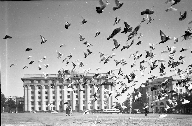 Голуби на площади Дзержинского, 1958 год, Украинская ССР, г. Харьков. Ныне площадь Свободы.