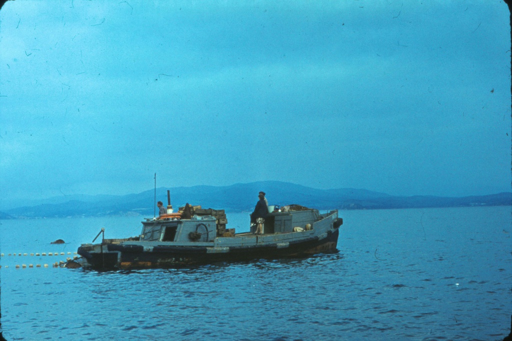 Залив Восток. Рыбаки, 1969 год, Приморский край. Из серии «Сихоте-Алинь. Японское море».
