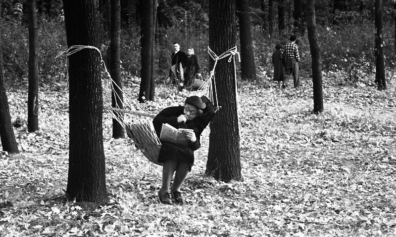 В городском парке, 1958 год, Украинская ССР, г. Харьков