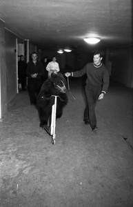 За кулисами цирка. Дрессировщик Иван Кудрявцев с медведем, 1958 - 1959, г. Москва