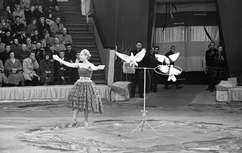 Цирк. Дрессировщица голубей Галина Корчагина, 1959 - 1960, г. Ленинград