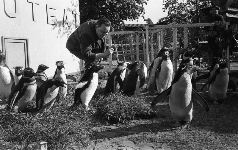 Дрессировщик Владимир Дуров, 1960 - 1962. Выставка «Птицы» с этой фотографией.&nbsp;