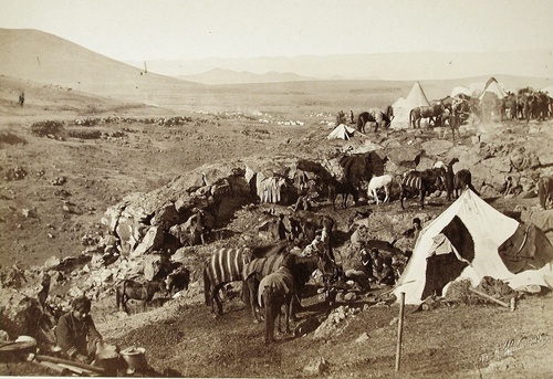 Русско-турецкая война. Бивак в Магараджинском ущелье, 1877 - 1878