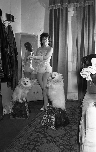Дрессировщица собак Ирина Авьерино, 1960 - 1963, г. Москва. Выставка «На границе двух миров» с этой фотографией.