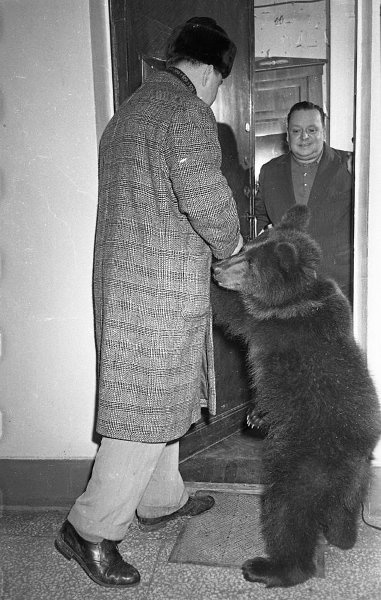 Владимир Григорьевич Дуров принимает гостя с медвежонком, 1960 - 1962, г. Москва. Выставка «В гостях» с этой фотографией.&nbsp;