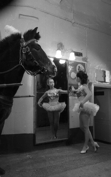 За кулисами цирка. Марианна Волжанская, 1956 - 1959, г. Москва