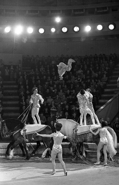 Фото "Конный цирк «Тула – Париж». Акробаты-вольтижеры на лошадях ...