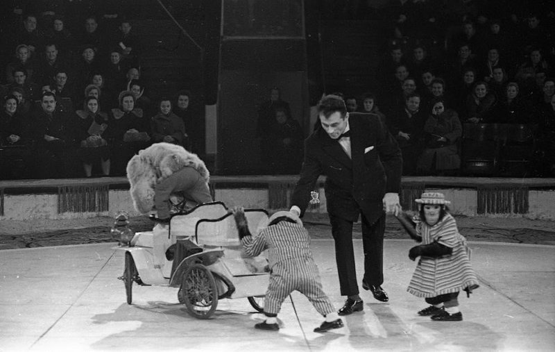 Фото \"Гастроли французского цирка в СССР. Капеллини. Дрессированные ...