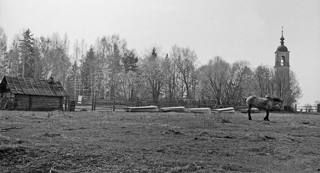 Фото "Деревенский пейзаж", 1 - 8 мая 1982, Калининская обл., дер. Спас ...