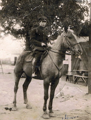 Кавалерист, 14 августа 1928, Северо-Кавказский край