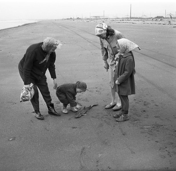 Дети и женщина, рассматривающие рыбу на берегу моря, 1968 год, Сахалинская обл.. Выставка «Сахалинское детство Юрия Садовникова» с этой фотографией.&nbsp;