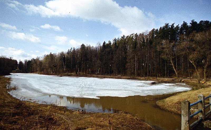 Пейзаж, 1990 - 1995, Тверская обл.