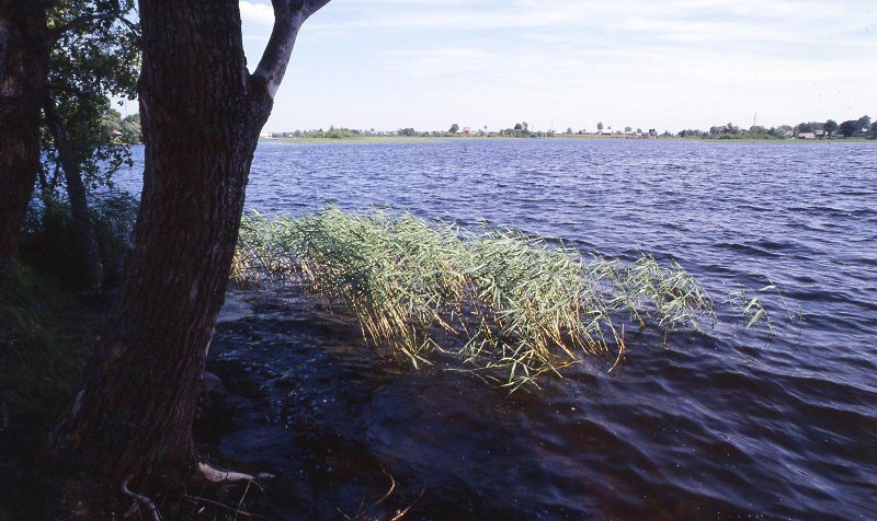 Озеро, 1991 - 1999, Тверская обл.