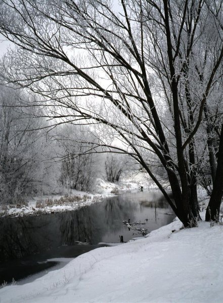 Зима, 1990 - 1995, г. Тверь
