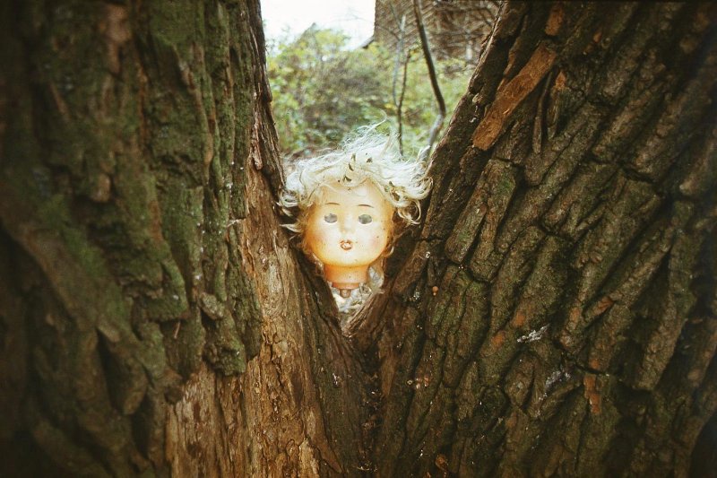 Голова куклы в раздвоенном стволе дерева, 1990 - 1993, Тверская обл., г. Торжок