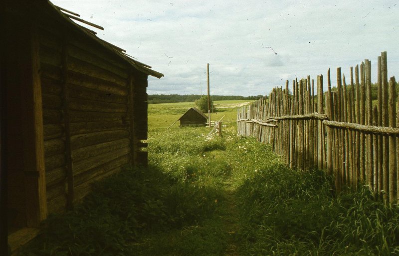 Деревенский пейзаж, 1988 - 1993, Тверская обл., Старицкий р-н, дер. Малинники