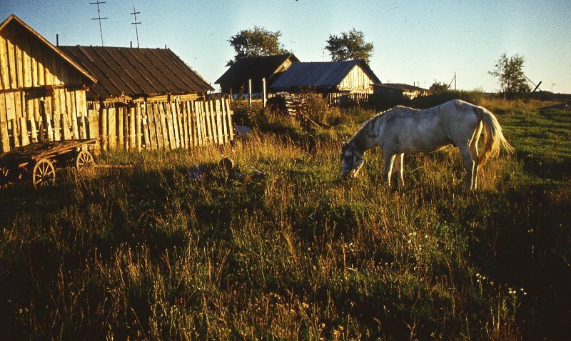 Тверская область. В деревне, 1995 - 1999, Тверская обл.