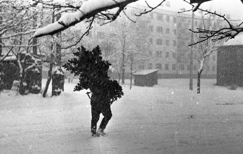 Снег в городе, 1962 - 1968, Сахалин о., г. Южно-Сахалинск (?). Выставки&nbsp;«Метелица моя»,&nbsp;«А снег идет, а снег идет, и все вокруг чего-то ждет…» и видео «С Новым годом, Россия!» с этой фотографией.