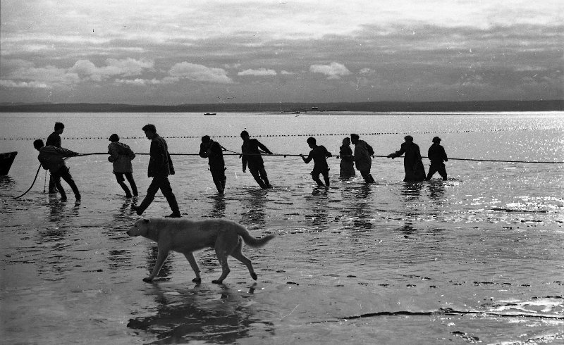 На берегу, 1968 год, Сахалинская обл., пгт. Ноглики. Выставка «"Ловись рыбка большая..." Рыболовный бум в СССР» с этой фотографией.