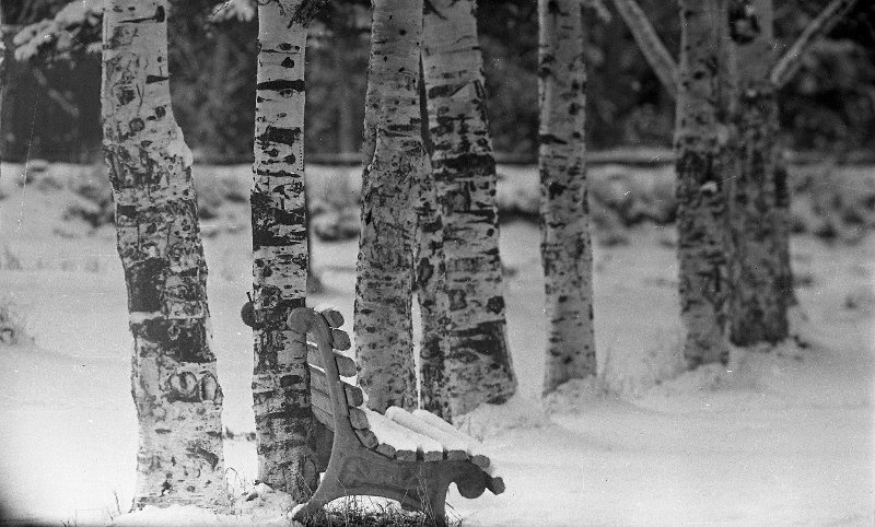 Первый снег, 1965 год, Сахалин о., г. Южно-Сахалинск. Выставка «Падал прошлогодний снег» с этой фотографией.