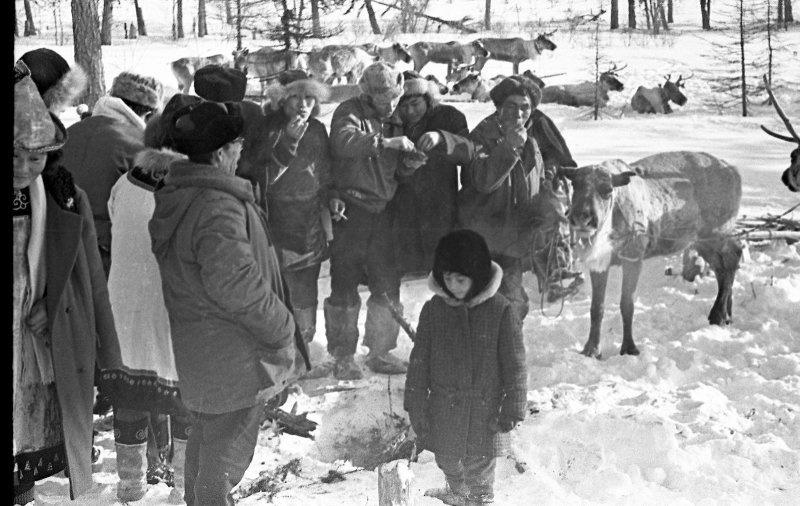 Фото ноглики сахалинской области