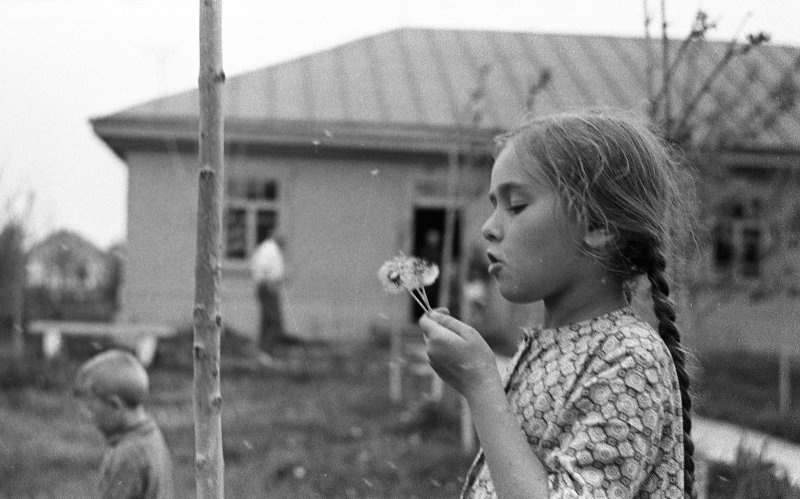 Девочка с одуванчиками, 1960-е, Сахалинская обл.. Выставка «Сахалинское детство Юрия Садовникова» с этой фотографией.&nbsp;