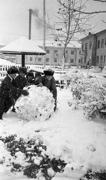 Дети лепят снеговика, 1960 - 1961, Сахалин о., г. Южно-Сахалинск. Выставка «Снеговик, снеговик, жить на холоде привык» с этой фотографией.