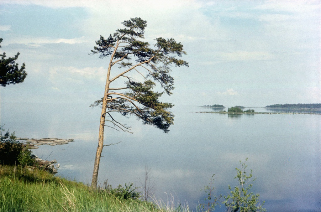 Пейзажи острова Валаам, июнь 1985, Карельская АССР, Сортавальский р-н, о-в Валаам