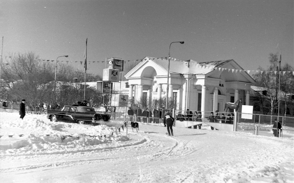 ВДНХ. Соревнования на выводном кругу, 13 февраля 1977, г. Москва. Соревнования по собаководству, ДОСААФ зимняя спартакиада на первенство РСФСР.