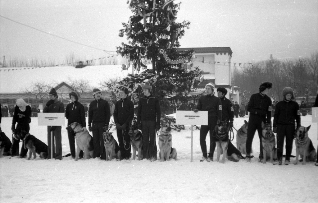 ВДНХ. Соревнования по собаководству, ДОСААФ зимняя спартакиада на первенство РСФСР, 30 января 1977, г. Москва