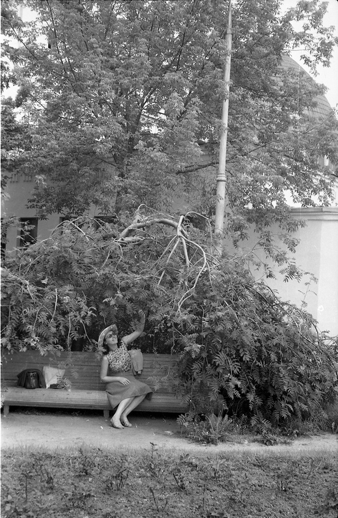 Девушка на скамье в Ботаническом саду, июль 1977, г. Москва