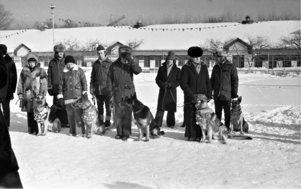 Закрытие соревнований ДОСААФ по собаководству на ВДНХ, 14 января 1977, г. Москва. 