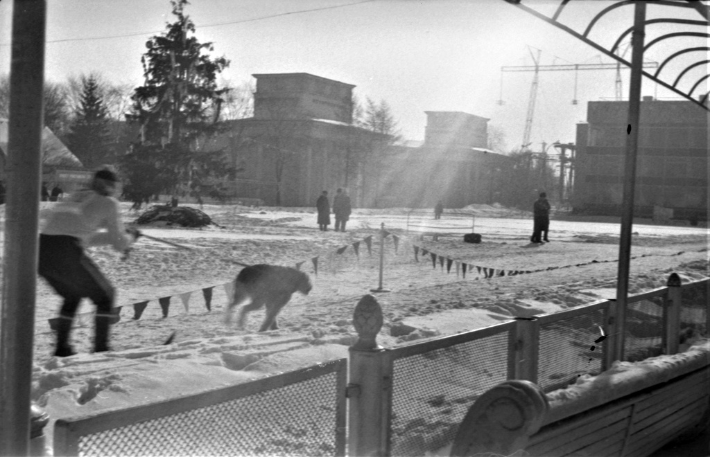 Закрытие соревнований ДОСААФ по собаководству, 14 января 1977, г. Москва. Пруд (не сохранился) и ресторан «Океан» (перестроен) на ВДНХ.